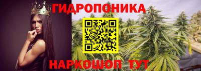спиды Партизанск